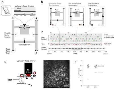 Error-driven changes in hippocampal representations accompany flexible re-learning