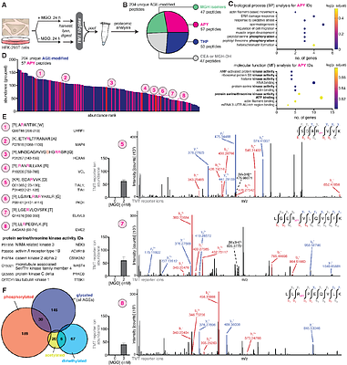 A Chemical Mechanistic Path Leads the Way to Cellular Argpyrimidine