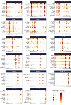 Advancing Nuclei Isolation from Frozen Human Heart for Single-Nucleus RNA Sequencing Applications