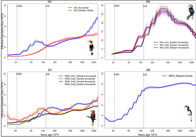 De novo genome assemblies of threatened Asian hornbills (Bucerotidae) reveal declining population trajectories during the late Pleistocene