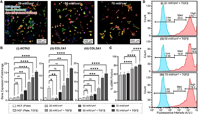 Modulating Hydrogel Stiffness Through Light-Based 3D Printing to Mimic Cardiac Fibrosis and Cardiomyocyte Dysfunction Using hiPSC-Derived Cells