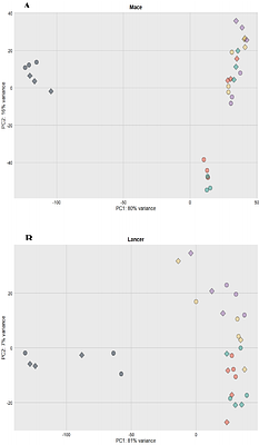 Transcriptomic analysis reveals SnTox8-mediated reprogramming of wheat defence signalling