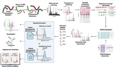 EndoGenius: Enabling comprehensive identification and quantitation of endogenous peptides