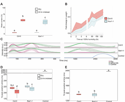 FLOE1 maintains cellular viscosity in rehydrating Arabidopsis embryos