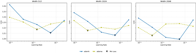 Muon Reduces the Training Cost of Regulatory DNA Transformers