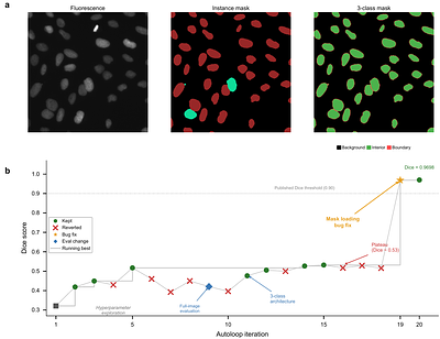 LLM-autonomous development of deep learning models for quantitative microscopy