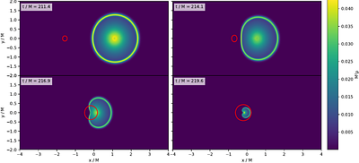Black Hole-Boson Star Binaries: Gravitational Wave Signals and Tidal Disruption