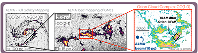 From Scaling Relations to Physical Laws: Constraining the Physics of Star Formation Across Local Galaxies