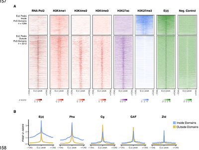 Nucleation-dependent propagation of Polycomb modifications emerges during the Drosophila maternal to zygotic transition
