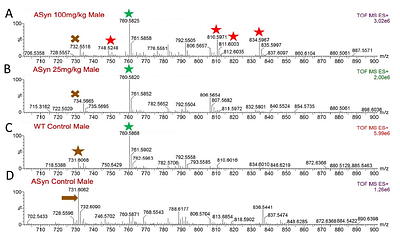 Gardenin A improves cognitive and motor function in A53T-α-syn mice