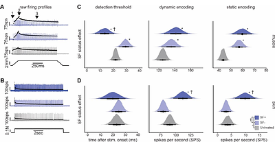 Oxaliplatin Induces Spontaneous Firing at Sensory Endings Across Touch and Proprioceptive Afferents