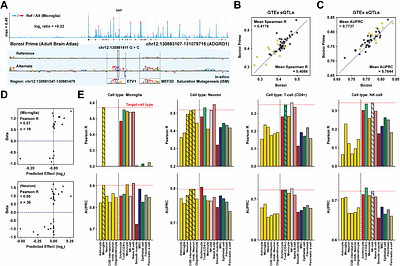 Predicting cell type-specific coverage profiles from DNA sequence