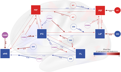 Segregation and integration between visuo-spatial attention and semantic memory across large-scale brain networks