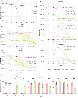 Cooperation between a root fungal endophyte and host-derived coumarin scopoletin mediates Arabidopsis iron nutrition