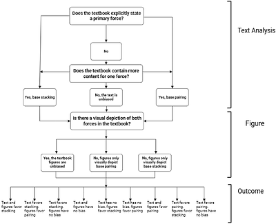 Uncovering Conceptual Biases in DNA Stabilization: A Student-Led Investigation