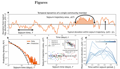The macroecological dynamics of sojourn trajectories in the human gut microbiome