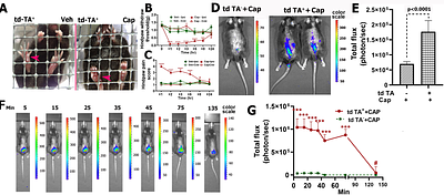 Development of noninvasive imaging to measure spontaneous pain in mice