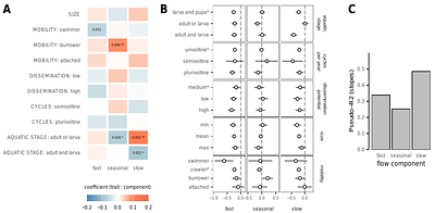 Population and community responses to the fast, slow, and seasonal components of environmental variation