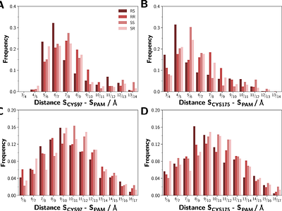 Stereoselective binding of prasugrel active metabolite to the P2Y12 receptor: insights from a molecular modeling approach
