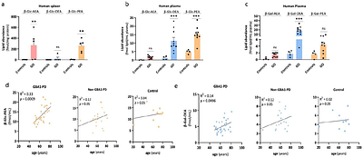 Glycosylation of anandamide and other bioactive N-acylethanolamines in mammalian cells and tissues