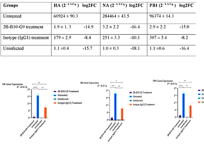 Anti-Matrix Protein 1 Monoclonal Antibody NeutralizesInfluenza A Virus Subtypes
