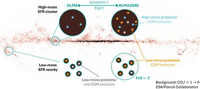 Chemical Demographics of Star-forming Regions