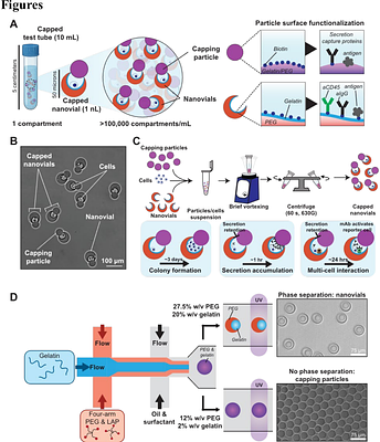 Sealable capped nanovials for high-throughput screening of cell growth and function