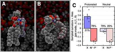 Multiple Sclerosis Drug Fingolimod Exhibits Antibacterial Activity through Bacterial Membrane Permeabilization