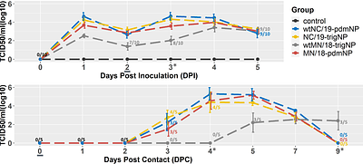 Nucleoprotein reassortment enhanced transmissibility of H3 1990.4.a clade influenza A virus in swine