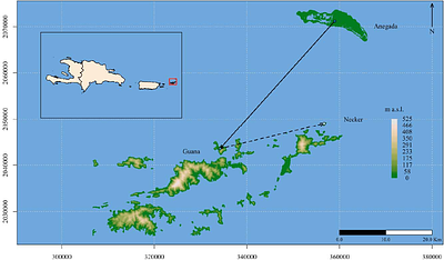 The impact of serial translocations on the genetic diversity of Anegada iguanas (Cyclura pinguis) in the British Virgin Islands