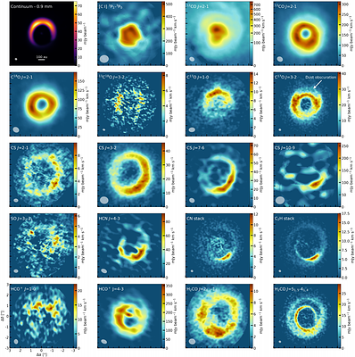 The asymmetric carbon-rich chemistry of the planet-forming disk of HD 142527 triggered by late infall