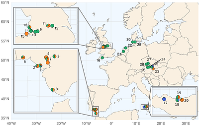 All for one or one for all? Disentangling the Juncus bufonius complex through morphometrics, cytometry and genomics