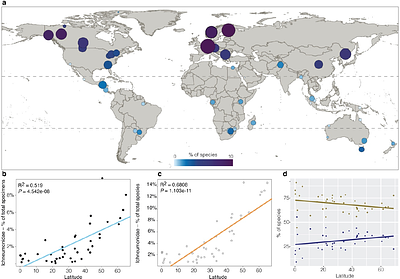 Weak and inverse latitudinal diversity gradients in the 10 most abundant and diverse flying insect clades