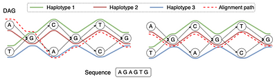 Haplotype-aware Sequence-to-Graph Alignment