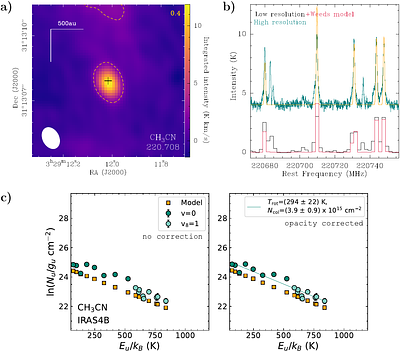 PRODIGE - envelope to disk with NOEMA: V. Low 12C/13C ratios for CH3OH
  and CH3CN in hot corinos