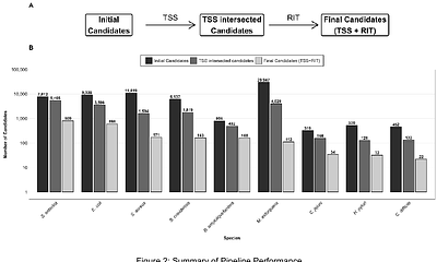 A pipeline for identifying small noncoding RNA (sRNA) candidates in bacteria