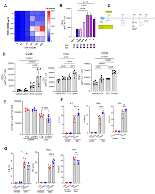 Mechanisms regulating combination effect of antibody-drug conjugates and cancer immunotherapy