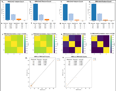 Reproducibility and Accuracy of Nanopore-Based Methylome Profiling of Streptococcus dysgalactiae subspecies equisimilis Strains from Cancer Patients