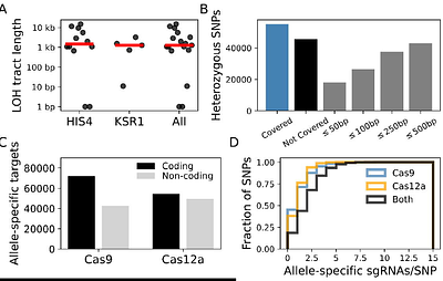 Targeted loss of heterozygosity in Candida albicans using CRISPR-Cas9