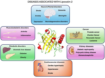 AI assisted design of ligands for Lipocalin-2
