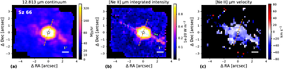 Molecular Similarity and Water Diversity in Coeval Binary Disks: JWST/MIRI Observations of Sz 65 and Sz 66