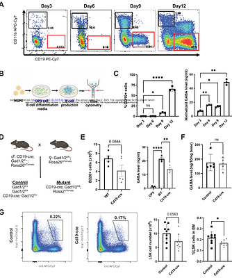 GABA produced by multiple bone marrow cell types regulates hematopoietic stem and progenitor cells