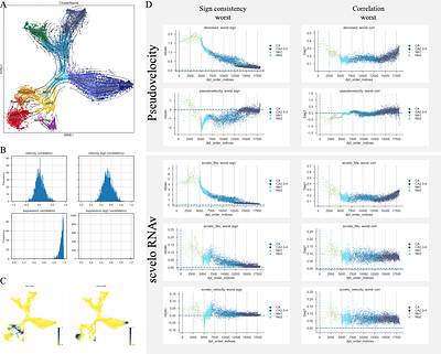 Genome-wide expression gradient estimation based on local pseudotime in single cell RNA sequencing