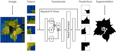 An Agentic AI Framework to Accelerate Scientific Discovery in Plant Phenotyping
