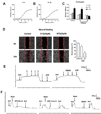 Nitazoxanide ameliorates OVA-induced airway inflammation in asthmatic mice via p38-MAPK/ NFκB and AMPK/STAT3 pathways