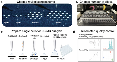 Massively parallel sample preparation for multiplexed single-cell proteomics using nPOP