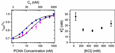 A practical framework for measuring protein oligomerization equilibria by fluorescence correlation spectroscopy