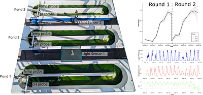 Sustainable production of plastic-degrading enzymes in Chlamydomonas pacifica