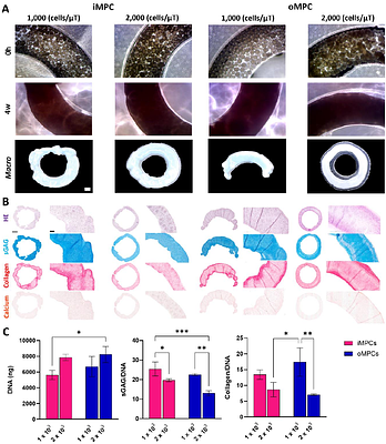Bioassembly of region-specific fibrocartilage microtissues to engineer zonally defined meniscal grafts