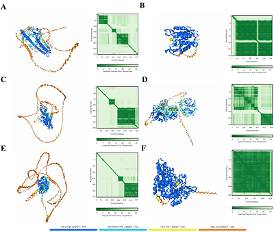Network toxicology, AlphaFold 3 and molecular docking for analysing the toxicity of heavy metal ions and their organic complexes in environmental pollutants: A case of Cobalt(II) ion & Bis-(2,4-pentanedionato)cobalt(II)